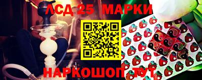 соль ск Будённовск